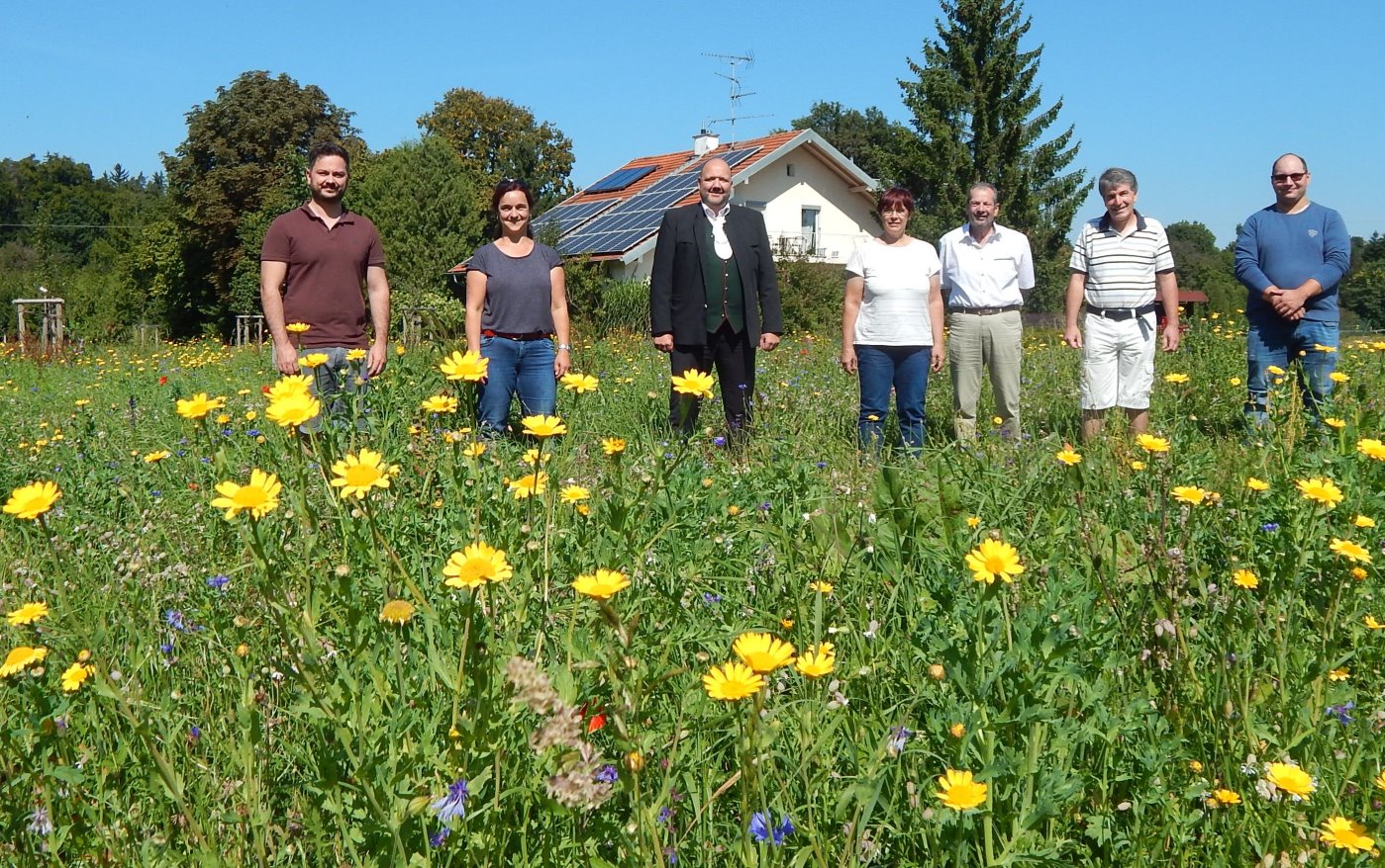 Die bunt blühende Streuobstwiese, die der Gartenbauverein Hart auf einer kommunalen Fläche angelegt hat, erfreut alle: (v.li.) Kreisfachberater Andreas Baumgartner, Patrizia Weindl vom Landschaftspflegeverband, Bürgermeister Maik Krieger, Lisa Götzl vom Gartenbauverein Hart und ihre Vorstandskollegen Günther Baumann und Christian Feuchtner sowie Sebastian Sieghart vom Gemeindebauhof.